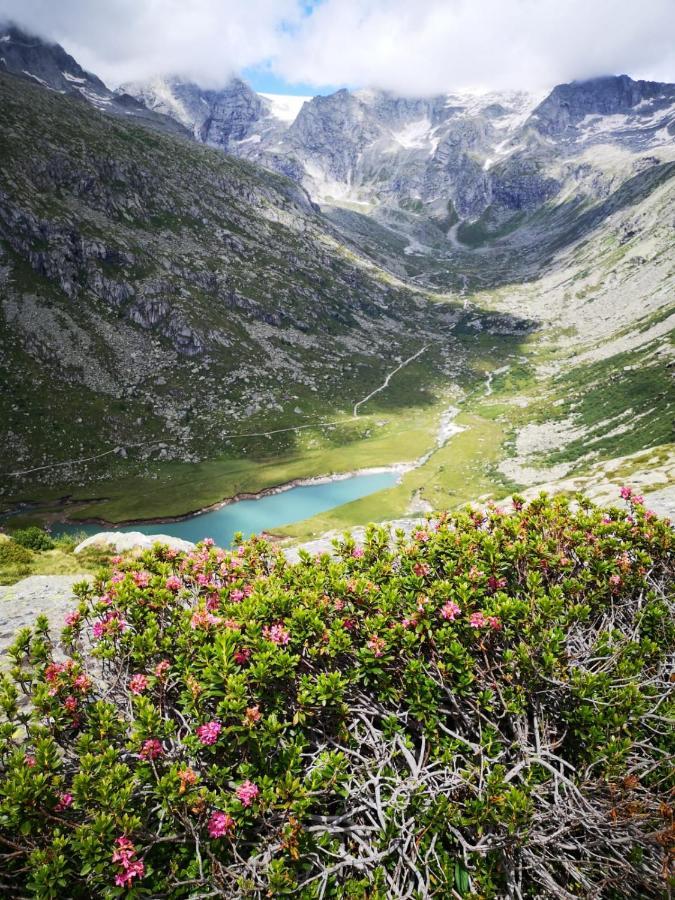 Отель Rifugio Stella Alpina Saviore dell'Adamello Экстерьер фото
